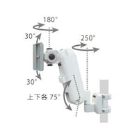 �f���^���A�[���Q�i�o���[���Q�^�C�v�j