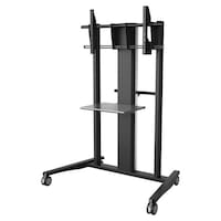 �f�B�X�v���C�X�^���h�@�l�d�f�`�@�j�`�m�h�{