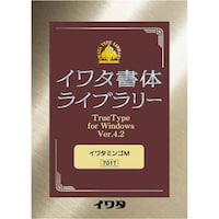 �C���^�~���S�l