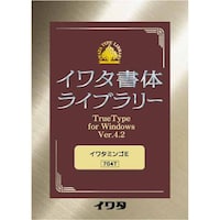 �C���^�~���S�d