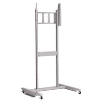 �e�n�o�|�l�r�P�O�@�e�������������e����������������