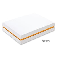 �]�[�g�z���C�e�B�R�O���Q�Q�i�J�n�R�n�q