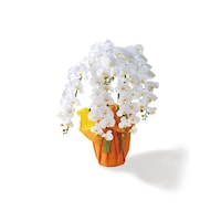 �Ӓ����@�P�T�ց@�T�{���@�`�S�U�@�z���C�g