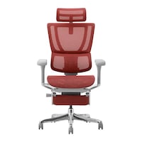 �e�h�s�Q�|�k�o�k�|�c�q�|�f�e�|�q�c�y�V��Ձz