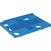 �T���L�����[�o�j