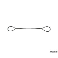 �ʊ|�����C���[���[�v�@�i�����@�P�O�����w�P�D�T���@�s�v�c�|�P�O�r�P�D�T