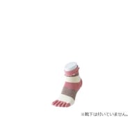 �f�B�X�v���[