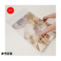 ���ʃ|�X�^�[�X�^���h�`�P�p�ی�V�[�g�i��