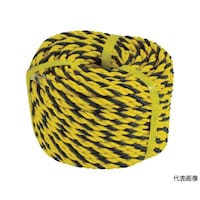 �g�����[�v�@�R�Ł@�V�D�T�~�T�O���@�s�s�q�|�V�D�T�|�T�O