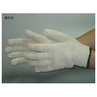 �����l�@���Ȏ�܁@�i�V�Q�[�W�j�@�����@�t