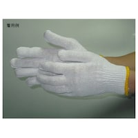 �S�W�S�P�@���{��R��@���@�t���[�V�Q�O�o