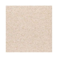 �o�w�R�O�P�P�@�^�C���J�[�y�b�g�@�Q�O����