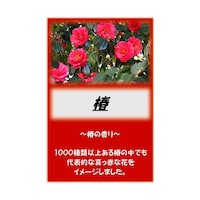 �A�T�q�����܁@�ց@�Q�D�T�����@�U�S�|�R�S�Q�X�|�P�U