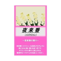 �A�T�q�����܁@���@�Q�D�T�����@�U�S�|�R�S�Q�X�|�R�U