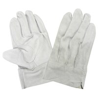 �V�W�R�O�|�P�O�o�@�����v��܁@�O�D��