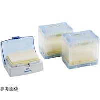 �����s�D�h�D�o�D�r�D�@�Z�b�g�R�W�S�@�T�|