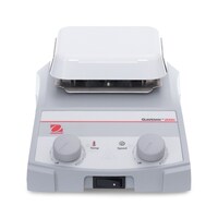 �z�b�g�v���[�g�X�^�[���[�@�P�O�D�Q�~�P�O�D�Q�����@���|�f�Q�P�g�r�O�S�b