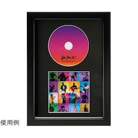 �b�c�f�B�X�v���C�t���[���i�f�B�X�N���u�b