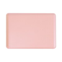 ��p�t���b�g�g���C�@�s���N�@�`�q�O�X�W