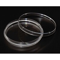 �P�O�O�~�P�T�����@�y�g���M�@�O���b�v�����O�t���@�ŋۍρ@�R�O�O���@�Q�Q�X�U�X�Q