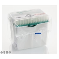 �����s�D�h�D�o�D�r�D�@�a�����a���������@