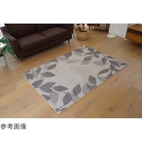 �􂦂�@�h���@���O�@�V�������@�P�W�T�~�P