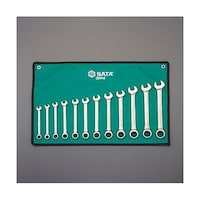 �W�|�P�X�����^�P�Q�{�g�@���`�F�b�g�Жڕ�