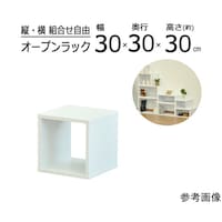 �I�[�v�����b�N�V�X�e���@�n�j�v�g�@�R�O�~