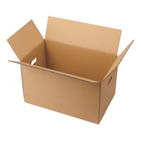 ���t�_���{�[�����@����@�P�p�b�N�i�P�O��