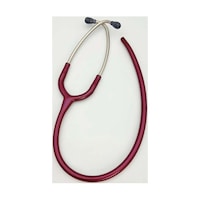 �`���[�u���ǃZ�b�g�i�a�m�k�|�P�R�V�@�U�Ӂj�o�[�K���f�B�@�P�O�X�T�e�Q�S�W