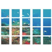 ���j�b�g�@�}���`�V�[�g�@�C�̒��Ԃ����@�X�R�b�`�v��