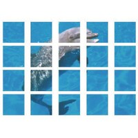 ���j�b�g�@�}���`�V�[�g�@�t�B�[�����O�^�^�C���@�S�O