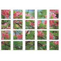 ���j�b�g�@�}���`�V�[�g�@�r���[�e�t���A�U���A�@�S�O