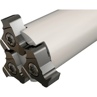 �C�X�J���@�J���X���b�g�@�G���h�~���@�s�q�h�a