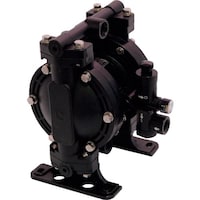 �A�N�A�V�X�e���@�G�A���_�C���t�����|���v