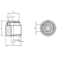 �g�`�k�c�d�q�@�n���h�N�����N�@�c�h�m�S�U�W�O�[�X�l