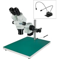 �g�n�y�`�m�@���̌�����