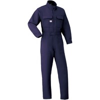 �`�t�s�n�|�a�h�@�ʔN���f���@�ώ_�Ȃ����U�P�O�O�|