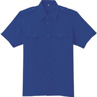 �A�C�g�X�@�����V���c�@���C�g�l�C�r�[�@�k�k