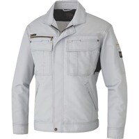 �A�C�g�X�@�����u���]���i���n�j�@�V���o�[�O���[�@�k