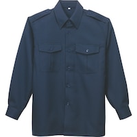 �A�C�g�X�@�����V���c�@�l�C�r�[�@�U�k