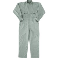 �A�C�g�X�@�c�i�M�@�A�[�X�O���[���@�l