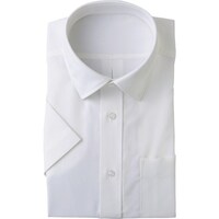 �A�C�g�X�@�����J�b�^�[�V���c�@�z���C�g�@�R�k