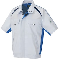 �A�C�g�X�@�����u���]���@�V���o�[�O���[�@�U�k