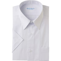 �A�C�g�X�@�����J�b�^�[�V���c�@�z���C�g�@�S�V