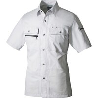 �A�C�g�X�@�����V���c�@�V���o�[�O���[�@�S�k