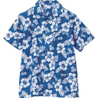 �A�C�g�X�@�A���n�V���c�i�n�C�r�X�J�X�j�i�j�����p�j