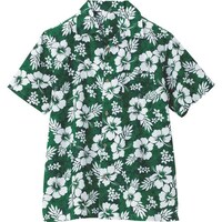 �A�C�g�X�@�A���n�V���c�i�n�C�r�X�J�X�j�i�j�����p�j