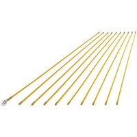 �v�����C�g�@�W���C���g���C���c�w�i�P�O�{�g�j