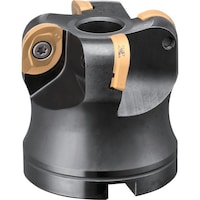 �_�C�W�F�b�g�@���C���h���W�A�X